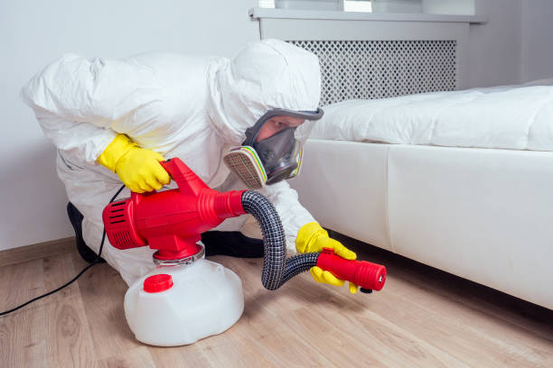 Best Flea Control Services  in Wrightstown, WI