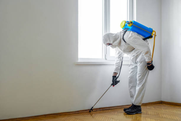 Best Pest Removal Services  in Wrightstown, WI