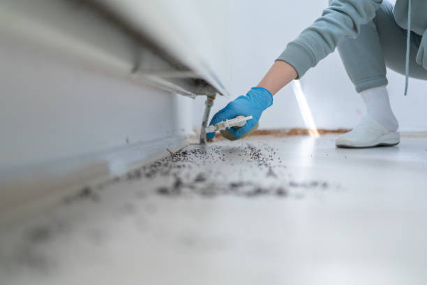Pest Control Cost in Wrightstown, WI